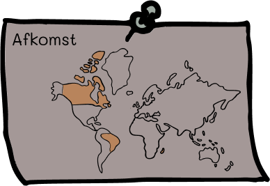 map_grafiet